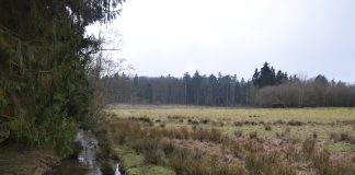 The Impressively Named Hochwildscutzpark