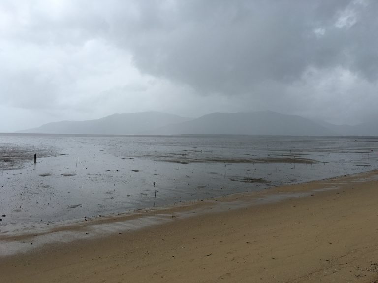 Whats all the Cairns Hype About!?