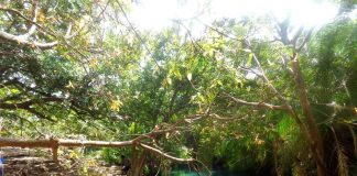 Visiting the Maji Moto hot springs in middle of nowhere in Tanzania.