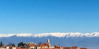 It Bit Me – The Travel Bug – Georgian Chapter