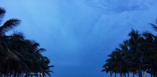 A Solo Resort Holiday to Naman Retreat