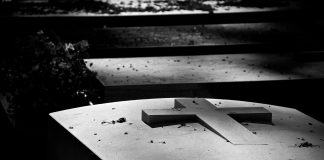 Paris Through The Seasons