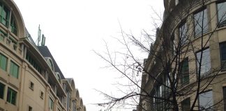 A Little Unsteady in the Winter Wonderland that is Brussells