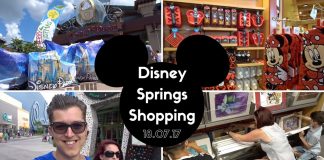 Day 9, 2017 – Shopping Spree at Disney Springs