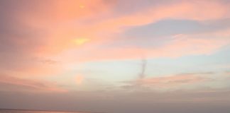 My Top Reasons on Why You Should Visit Holbox Island.