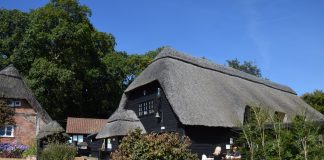 Furzey Gardens, New Forest, United Kingdom (Photo Gallery)